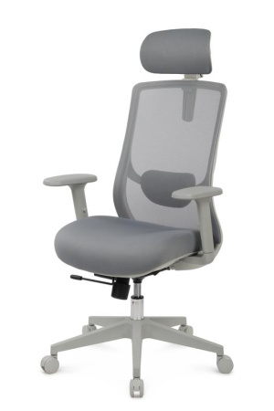Кресло Проджект RCH AH2669 Серый